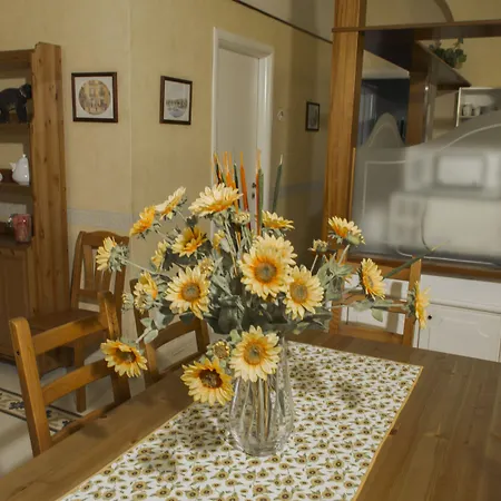 Bonapace Portanolana