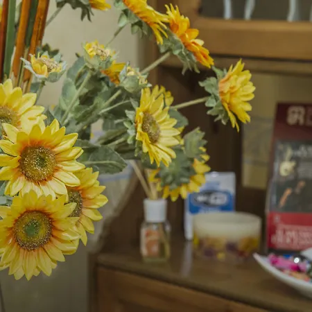 Bonapace Portanolana Couette-café 3*